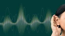 अब दीवारों के कान नहीं… AI के कान हैं 10 फीट लंबे