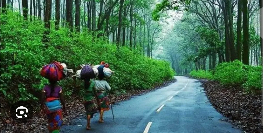 नेतरहाट 2030: झारखंड का स्वर्ग बनेगा अंतरराष्ट्रीय पर्यटन केंद्र, सरकार का बड़ा मास्टर प्लान